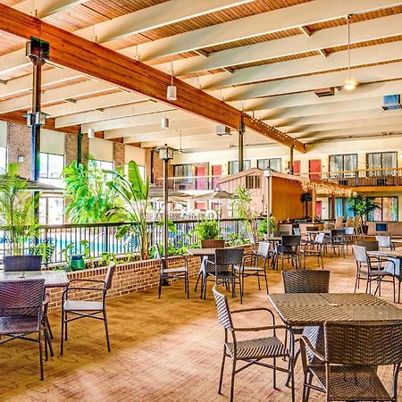 מלון Wyndham Garden יורק מראה חיצוני תמונה